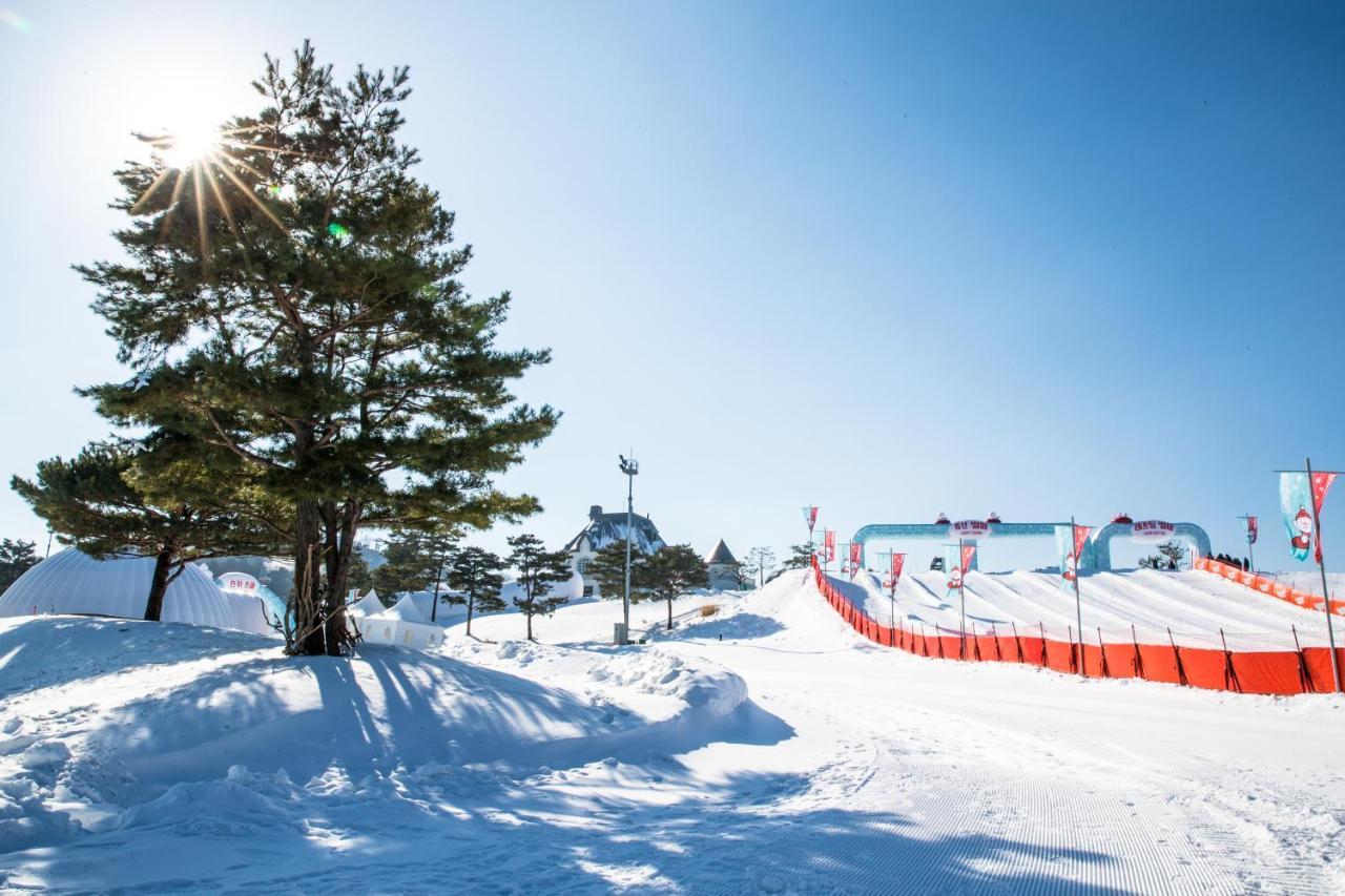 Hotel Sono Felice Vivaldi Park Hongcheon Esterno foto